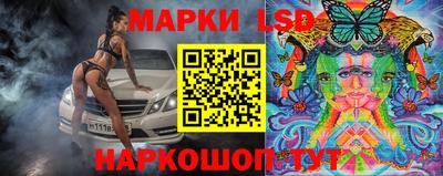 бошки Кингисепп