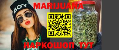 бошки Кингисепп