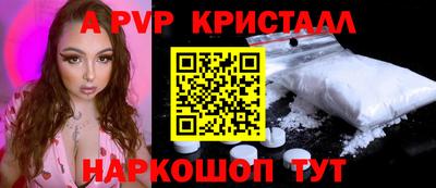 бошки Кингисепп