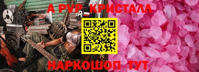 бошки Кингисепп