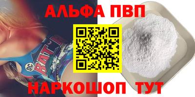 бошки Кингисепп