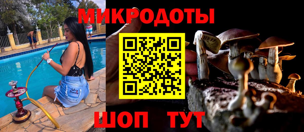 Псилоцибиновые грибы прущие грибы  Вход с VPN  Краснокаменск 